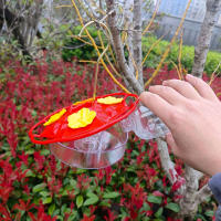 Alimentador de colibrí con gancho, colores brillantes, colgante, para alimentación de pájaros salvajes de exterior - details 6
