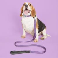 Collar Reflectante Para Perros Mediano Y Grande Con GPS Seguimiento Antipérdida Anillo De Cuello No Aprieta Con Correa De Tracción Para Mascotas - details 12