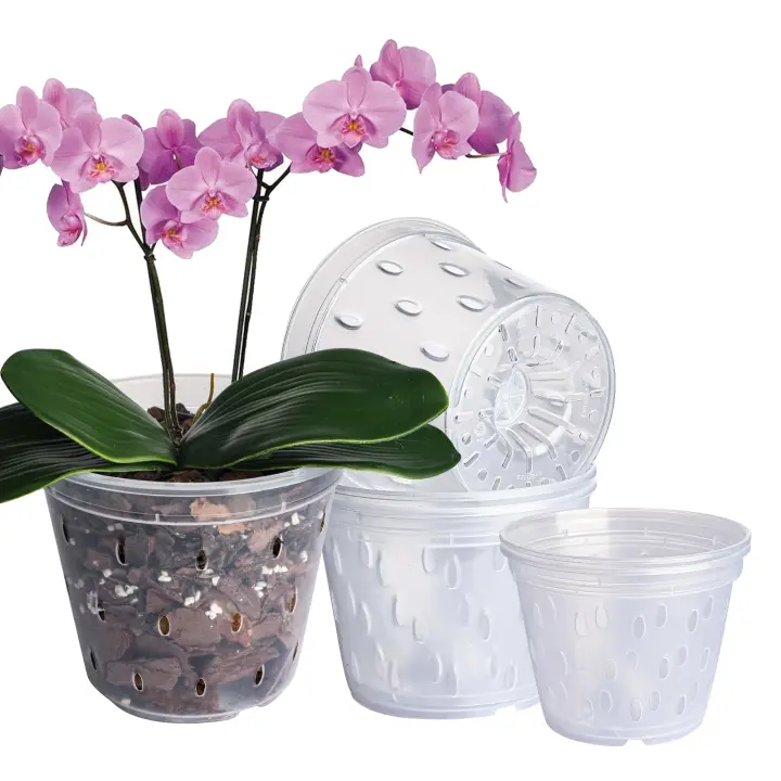 Variedad de 5 macetas para Orquídeas (4,3x3, 5x2), macetas transparentes para Orquídeas con Agujas para transplantar, macetas transparentes para Kit de Transplante de Orquídeas - 1