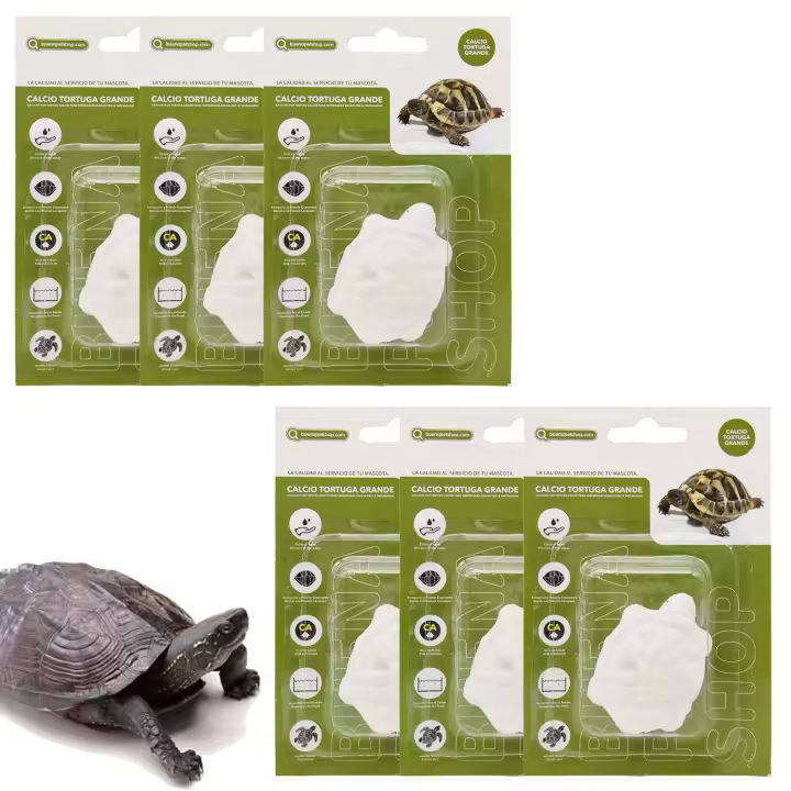 6 Pcs Bloque de Calcio para Tortugas Grande Natural Complemento Básico - 1