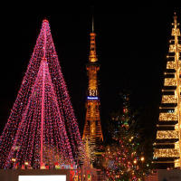 Guirnalda De Luces LED Para Navidad Y Fiestas 10m 20m 30m 50m Decoración De Jardín Calle Y Bodas Luz De Año Nuevo Exterior - details 12
