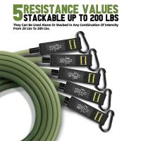 Juego De 11 Piezas De Bandas Elásticas De Resistencia 200LBS Para Ejercicio De Fitness En Casa Equipo De Entrenamiento De Músculos Y Acondicionamiento General - details 1