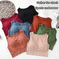 Sudadera Deportiva Para Mujer Sólida Yoga Top Con Almohadillas De Fitness Chaleco Activo Deporte Running Sportswear Transpirable Suave Y Cómoda - details 0