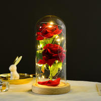Regalo de flores conservadas, rosa iluminada en cúpula de cristal, regalos de flores de rosas eternas para siempre - details 0