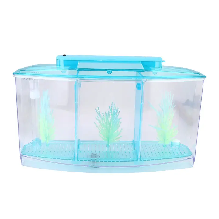 Tanque De Acuario Con LED Y División En Tres Secciones Para Cría Y Aislamiento De Pequeños Peces Tanque De Acrílico Para Acuarios - 1
