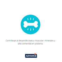 Advance Kitten Comida Húmeda para Gatitos con Pollo, 85gr, Nutrición Optima, Alimento Húmedo para Gatos Cachorros - details 3