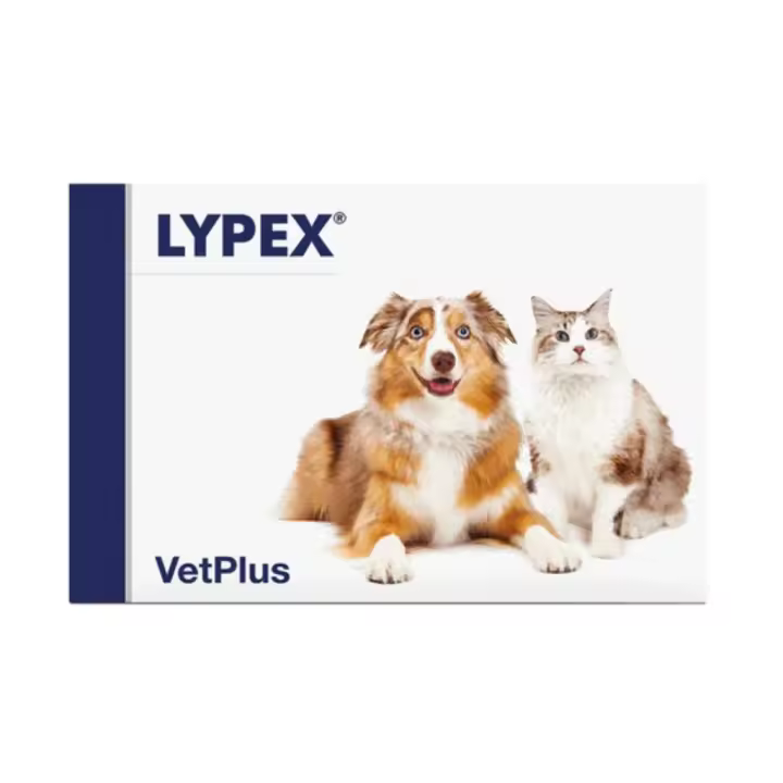 VETPLUS - Lypex (60 Capsulas) - Suplemento con Enzimas pancreáticas para Perros y Gatos - 1