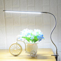 Lámpara De Escritorio LED USB Para Lectura Y Trabajo Luz Nocturna Para Dormitorio Estudio Oficina Con Soporte De Clip - details 14
