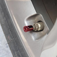 Tapones De Válvula De Neumáticos Anti-Robo De Aluminio Accesorios De Coche Para Automóviles Motocicletas Bicicletas - details 31