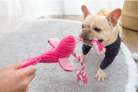 Juguete De Masticar Para Perros Pequeños En Peluche De Flamenco Sonido Squeaky Interactivo Para Chihuahua Yorkshire Bulldog Pug Corgi - details 1