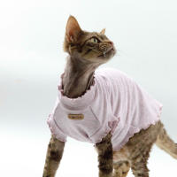 Camiseta De Verano Primavera Para Gato Sphynx Suave Transpirable Color Sólido Alta Elasticidad Amigable Con La Piel Ropa De Mascota Devon - details 2