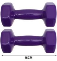 COSHANO 2x Mancuernas pesas de 2kg en vinilo suave ejercicio, gimnasia, musculación 2 Unidades Color morado - details 1