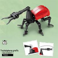Juguetes De Bloques De Construcción Para Niños Set De Insectos Locustos Coleccionables Duraderos Modelo De Carabida Y Otras Blattodea - details 4