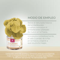 CRISTALINAS Pack 2 Ambientador Flor Perfumada (2x40ML). Larga Duración 4 Semanas. 0% Alcohol. Variedad de aromas: Moras y Frambuesas, Azahar y Mandarina, Dama de Noche, Brisa Marina - details 1