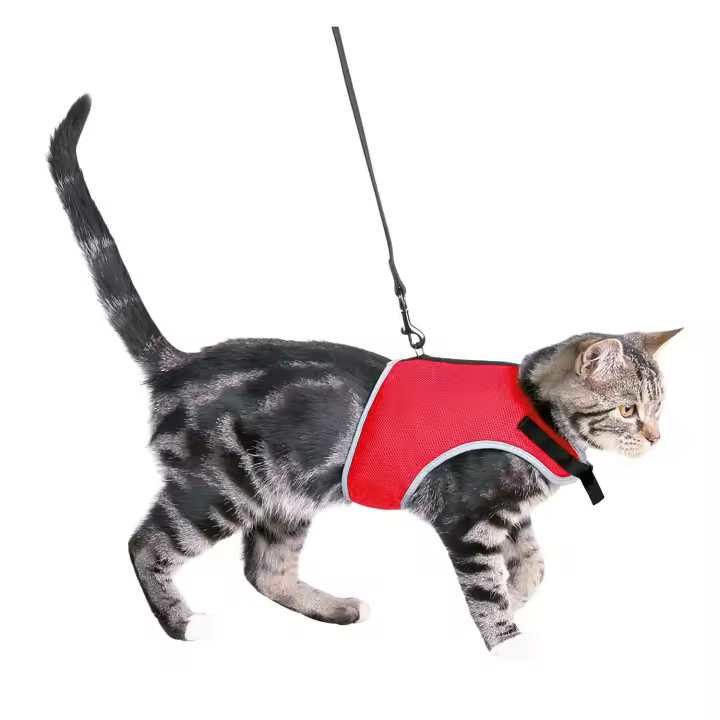 TRIXIE Arnés Suave-Correa Gatos, 24-42 cm, 1.20 m - 1