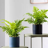 Hojas Dearenal Artificiales 33-48cm Para Decoración De Oficinas Y Hogares Accesorios Para Paredes De Plantas Persa Material De Plástico Para DIY - details 0