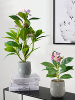 Plantas Artificiales De Azalea 21-40cm Falsas Hojas De Palma Tropicales Ficus Faux Con Flores Para Decoración De Hogar - details 9