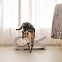 Rascador para gatos ondulado de cartón corrugado - Althea Living - details 0