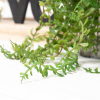45cm De Altura Suculentas Artificiales Colgantes Para Pared Vine Rattan Ramas Verdes Decoración De Hogar Para Bodas Y Salón Garrafa - details 3