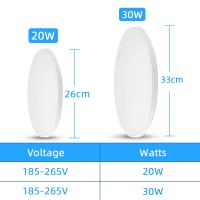 Lámpara De Techo LED Con Sensor De Movimiento Radar Infrarrojo Para Casa Corredor Porche Iluminación Automática Moderna - details 5