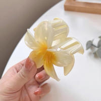 Pinza Para El Pelo De Moda Con Flores De Huevo Estilo Bohemio Para Mujeres Accesorios De Pelo Para Vacaciones En La Playa Gran Pinza Para El Pelo Para Niñas - details 3