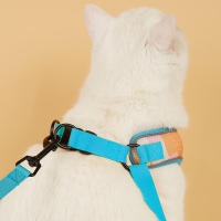 Nueva Llegada De Correa Y Amigo De Mascota Ajustable Con Diseño Moda En Malla Suave Para Gatos Y Perros Conjunto De Correa Y Amigo De Mascota - details 14