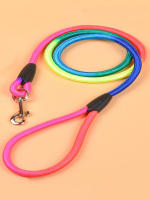 Correa Para Perro Teddy De Nylon Colorido Para Perritos Y Perros Medianos 1.2m Accesorios Para Pasear Al Perro Suministros Para Mascotas - details 4