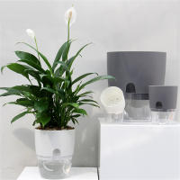 Maceta Automática De Plástico Para Plantas Hydroponicas Con Alambre De Hilo Para Riego Creativo Para Oficina Y Hogar Tamaño Compacto - details 2