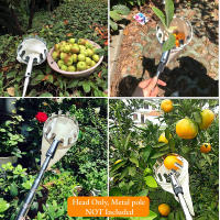1pc Herramienta De Recogida De Frutas Metálica Cepillo De Manzanas Con Cesta Accesorio De Recolección De Frutas Para El Jardín Herramienta De Jardinería - details 5