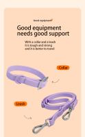 Correa Para Perros De PVC Impermeable De 2m Color Candy Traction Lead Rope Para Exterior Apto Para Mascotas Medianas Resistente Al Desgarro Y Al Desmontaje - details 9