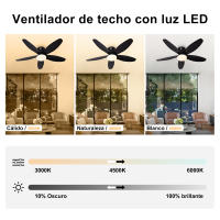 Lalumia LED Ventilador de Techo 42" con Luz LED Regulable – 3000K-6000K, Blanco/Madera Claro/Negro/Nogal Negro, 85-265V - details 2