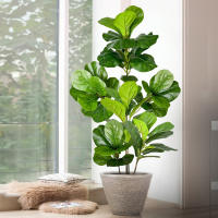 Falsa Hoja De Magnolia Y Ficus 105cm Para Decoración De Jardín Patio Interior Oficina Hoja De Figura Artificial De 41.3 Pulgadas - details 9