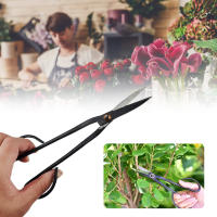 Tijeras De Bonsái Para Principiantes De 20.5cm Con Mango Largo Herramientas De Jardinería Para Podar Ramas Y Plantas - details 3