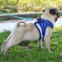 Juego De Arnes De Malla Para Perros Pequeños Y Gatos Accesorios De Entrenamiento Transpirables Para Bulldog Pug Cachorro Correa Respirable De Vínculo - details 3