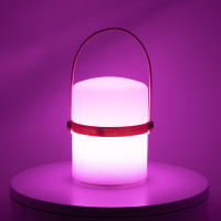 Lampara portátil Jocca en color blanco con detalles de bambú, con iluminación LED para uso interior y exterior, recargable por USB, dispone de diferentes luces de colores y funciona por mando de control remoto. - details 0