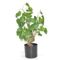 Maceta Negra Para Suculentas De Plástico Juego De Plantas Decoración Para El Hogar Y La Oficina Contenedor De Plantas - details 3