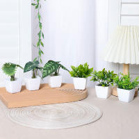 1SET De Plantas Simuladas En Maceta Para Decoración De Oficina Comercial Sala De Estar Estudio Courtyard Decoración Del Hogar Adecuado Para Mesas De Trabajo Y Espacios Comunes - details 0