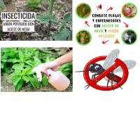 Agrobull® | Pack Aceite Neem (2L) + Jabón Potásico (2L) - details 0