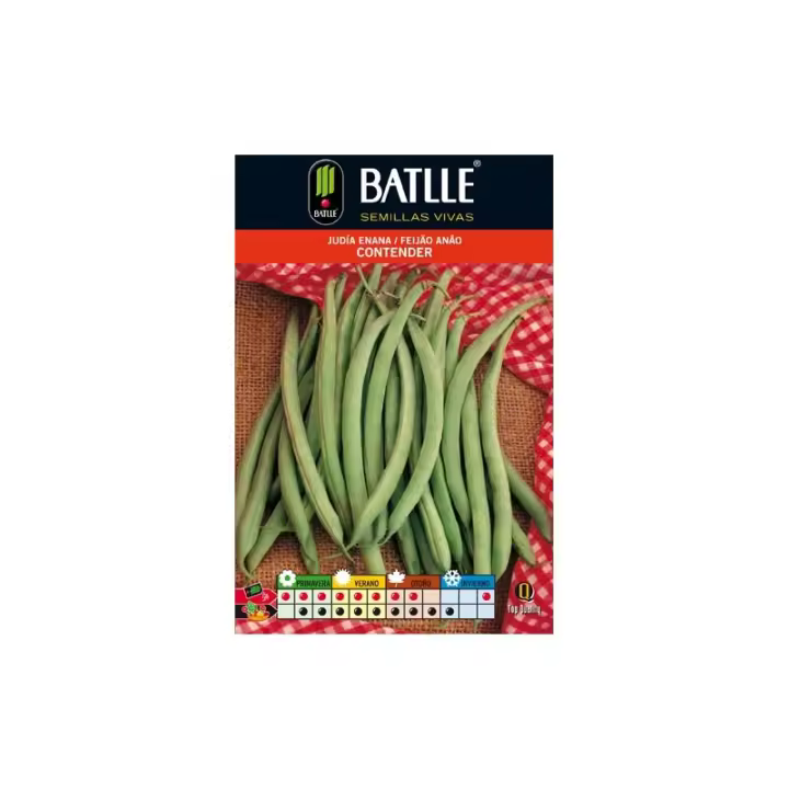 Batlle - JUDIA CONTENDER 1 KGENANA - 1