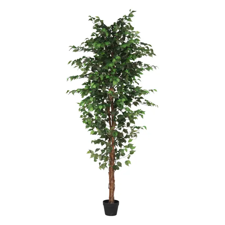 Poenia Arte Floral - Árbol Ficus Artificial 200cm - REF 630532-1 - Decoración Realista - 1