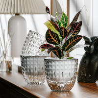 Maceta Transparente De Plástico Para Plantas Hidroponicas Autoabastecimiento Sin Agua Con Almacenamiento Basin De Cultivo Sin Agua - details 1