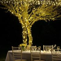 Guirnalda De Luces LED Verdes Para Arbol De Navidad Decoración De Hogar Y Exterior Impermeable Mini LED Para Fiesta Y Boda - details 3