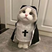 Disfraz De Gato Para Perro Pequeño Ropa De Fiesta Divertida Transpirable Para Todo El Año Accesorios Para Perros - details 3