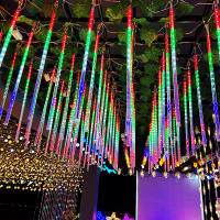 Luces De Show Meteorito LED Para Jardín Decoración De Navidad Y Bodas Con Enchufe EU Fuente De Alimentación AC Lámpara De Calle Exterior - details 11