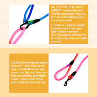 Correa Para Perros De Mano Libre 3m Reflectante Para Caminar Correr Y Jogging Adecuada Para Grandes Medianos Y Pequeños - details 1