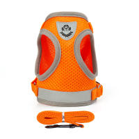 Juego De Arnes Y Correa Para Perros De Verano Transpirable Malla Reflectante Para Mascotas Gatos Y Chihuahuas Yorkies - details 10