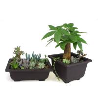 Maceta De Plástico Para Plantas De Bonsái Y Suculentas Cuadrada Moderna Para Balcón Jardín Uso En Interiores Y Exteriores - details 2