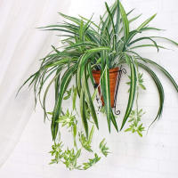 HORO.ES Planta de araña 3PCS artificial de imitación de clorophytum Comosum para decoración del hogar, hotel, seda, 5 ramas, 35 hojas, 12 flores, 60 cm de largo colgante - details 6