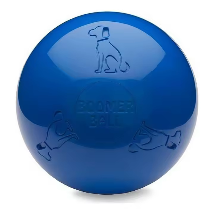 Juguete para perros Company of Animals Boomer Azul (150mm) - 1