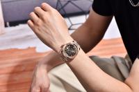 Reloj Automático De Lujo PAGANI DESIGN DD40 Para Hombres Oro Rosa AR Vidrio De Zafiro Fecha Resistente Al Agua Estilo Casual - details 0